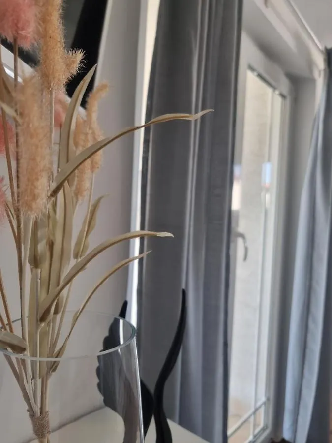 Apartment Miric